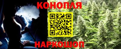 эйфоретик Кимры