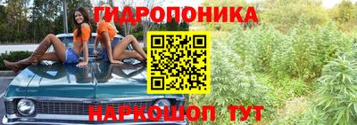 эйфоретик Кимры