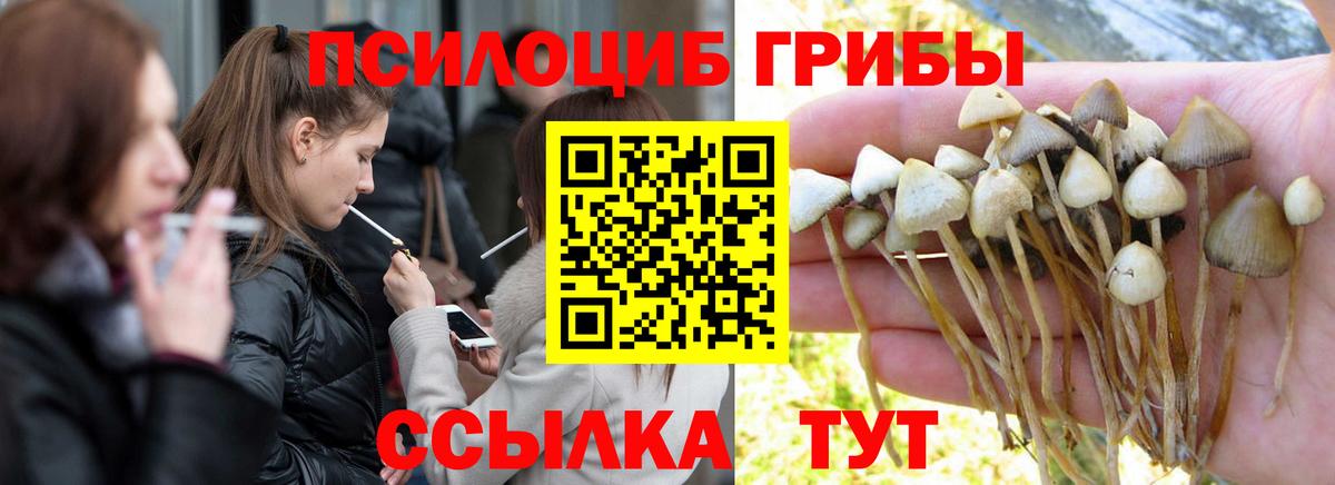 Галлюциногенные грибы GOLDEN TEACHER  Вход с VPN  Арсеньев 